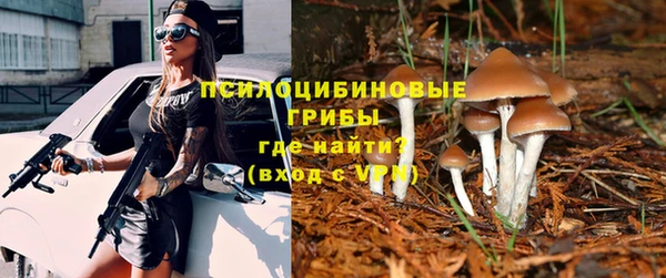 а пвп мука Покачи