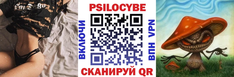 Галлюциногенные грибы Cubensis  Шагонар 